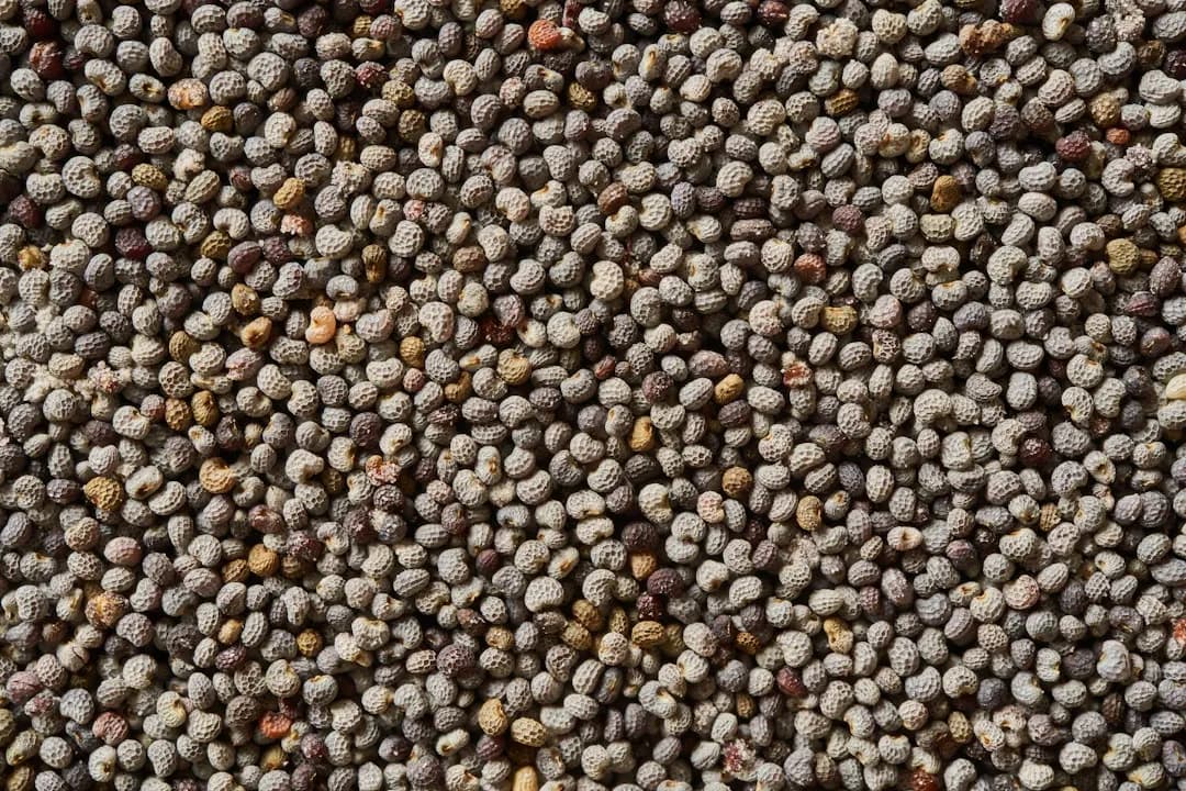 Nhu cầu Protid đối với trẻ dưới 10 tuổi