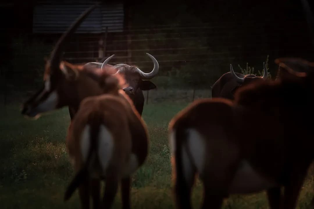 Rối loạn tiêu hóa sau ăn có nguy hiểm không?