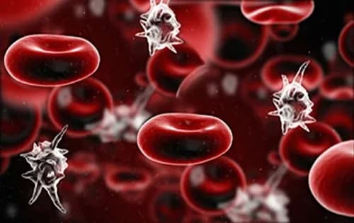 Huyết áp thấp sau phẫu thuật