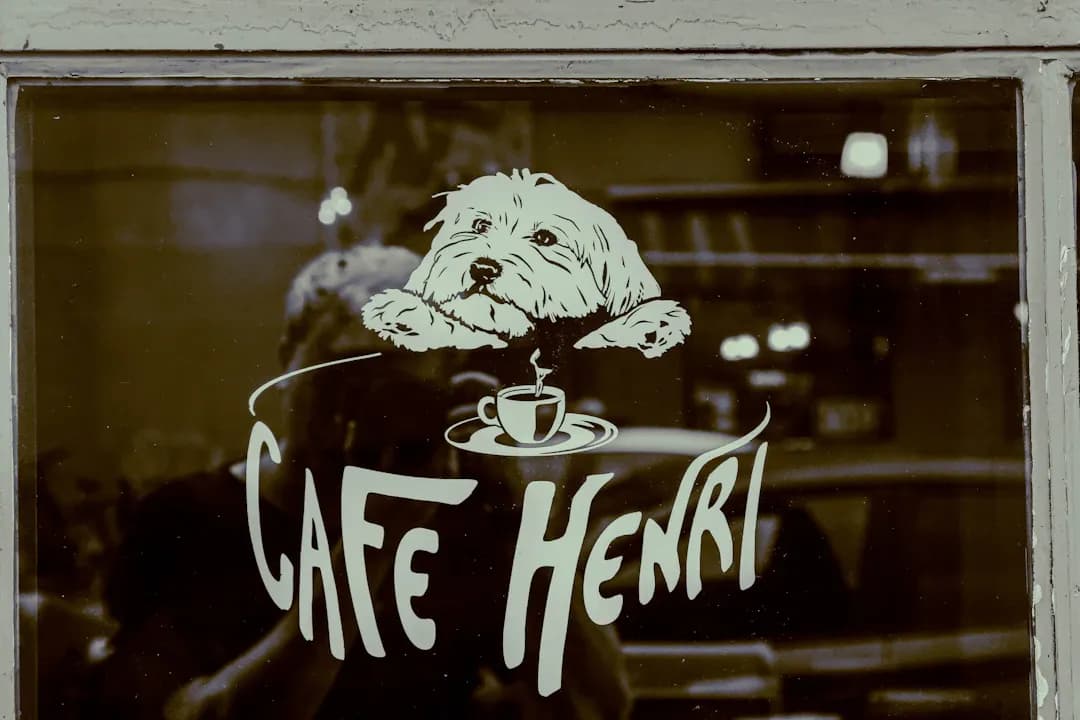 Câu hỏi 49: Tôi bị nhồi máu cơ tim cấp, đã được can thiệp đặt stent động mạch vành? Sau bao lâu tôi có thể đi làm trở lại được?