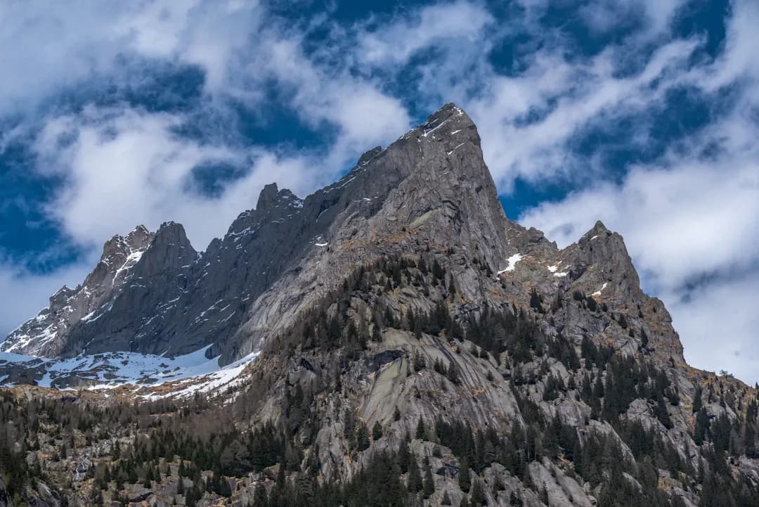 Câu hỏi 72: Tôi thấy hồi hộp trống ngực, đi khám được phát hiện rung nhĩ, như vậy có nguy hiểm không ? Tôi phải làm gì?