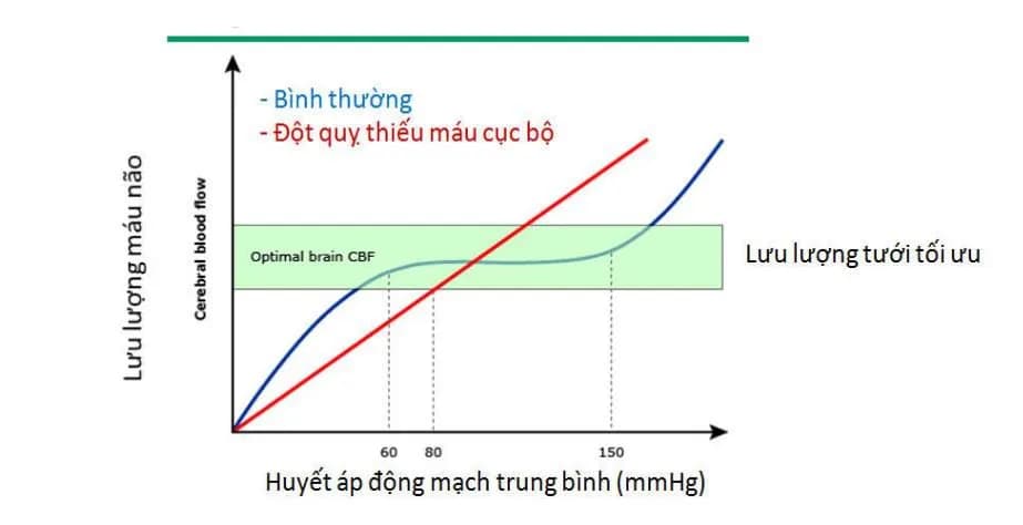 Mối liên hệ giữa tăng huyết áp và đột quỵ