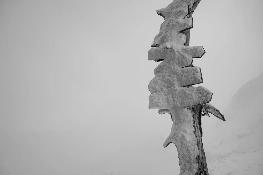 Hướng dẫn bạn các biện pháp điều trị bệnh đái tháo đường típ 2