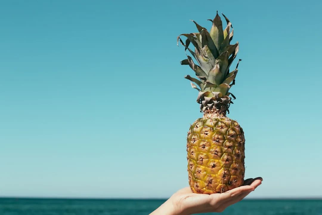 Hướng dẫn điều trị cơ bản cho bệnh nhân đái tháo đường típ 2