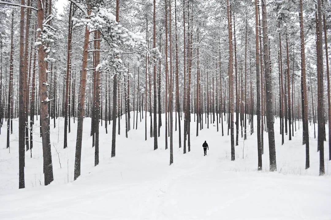 Người bệnh tiểu đường cần bao nhiêu tinh bột?
