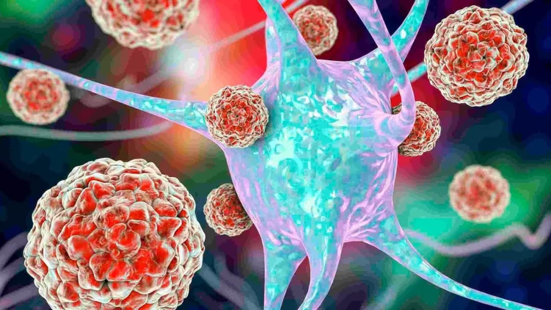 Virus gây viêm cơ tim