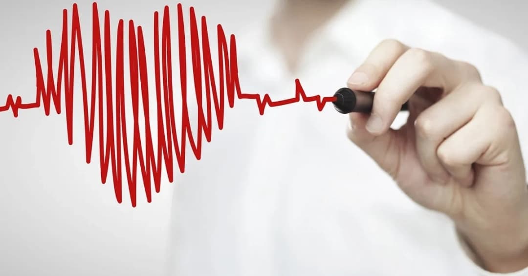 Sự đặc biệt của cơ tim