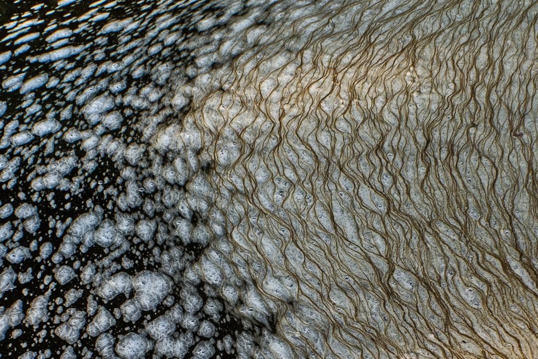 Nghiên Cứu Mới: Viêm Âm Đạo Do Vi Khuẩn Có Thể Lây Qua Đường Tình Dục? | BS. Hậu