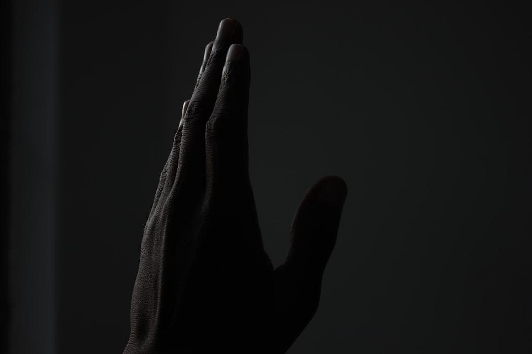 Dầu cọ: Tác hại môi trường, cách nhận biết và lựa chọn bền vững