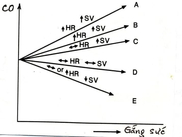 Tìm hiểu các chỉ số huyết động quan trọng