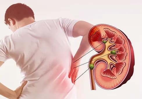 Vòng đời động mạch của bạn