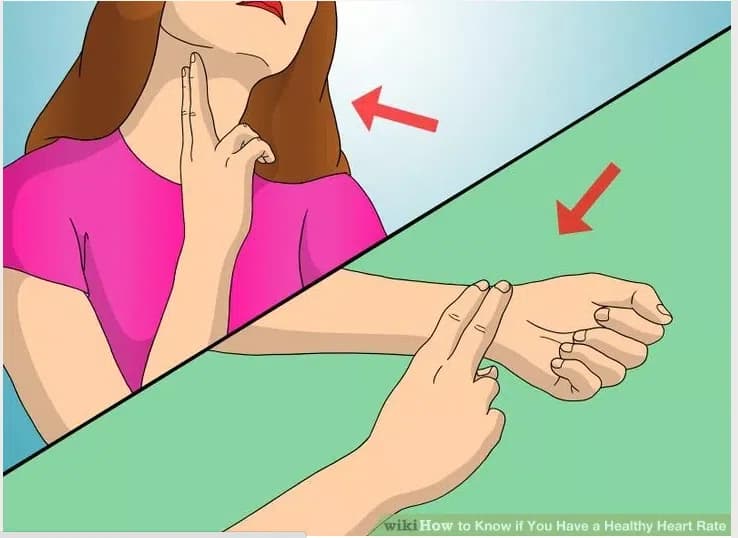 cach-nhan-biet-trai-tim-khoe-manh-2